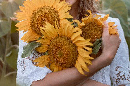 Făina de floarea-soarelui, noul ingredient promițător pentru alternativele vegetale la carne