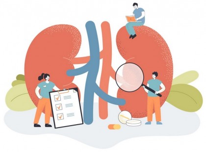 Povara globală a bolii cronice de rinichi: rezultate actualizate ale studiului GBD 2023