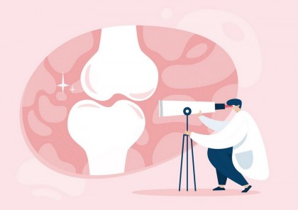 Modelul eVON: prima platformă umană standardizată care recreează microambientul endosteal al măduvei osoase