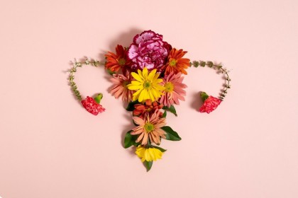 Păstrarea fertilității la diagnosticul de cancer endometrial. Scheme de tratament din istoria medicală de specialitate