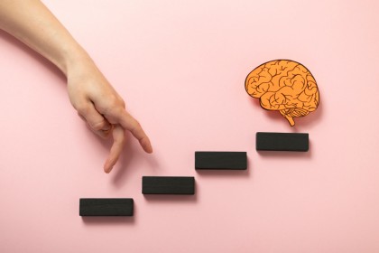 Neurocercetătorii detectează cinci faze generale ale structurii creierului într-o viață umană medie