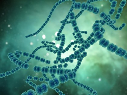 Fungii în tumori – o componentă ignorată a biologiei cancerului și direcțiile pe care le deschide