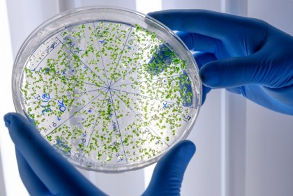 STREAMS: Un cadru extins pentru standardizarea raportării în studiile asupra microbiomului ambiental și gazdelor non-umane