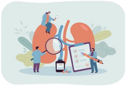 Boala cronică de rinichi și declinul cognitiv: diferențe majore între femei și bărbați