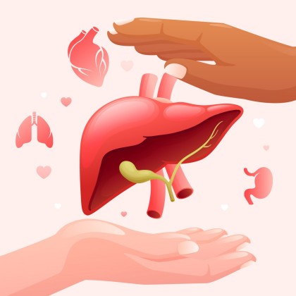 Rejuvenarea organelor și utilizarea donatorilor vârstnici: perspective tehnologice și terapeutice pentru reducerea deficitului de organe