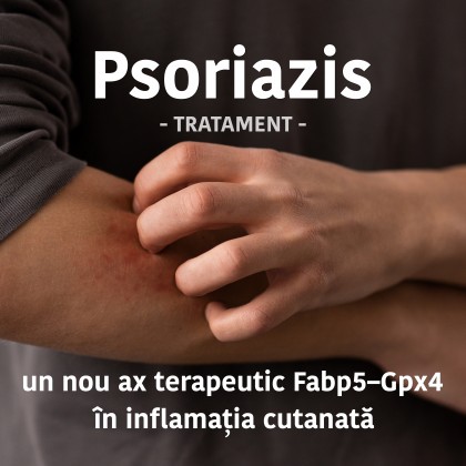 Rolul proteinei FABP5 și al feroptozei în psoriazis: un nou ax terapeutic Fabp5–Gpx4 în inflamația cutanată