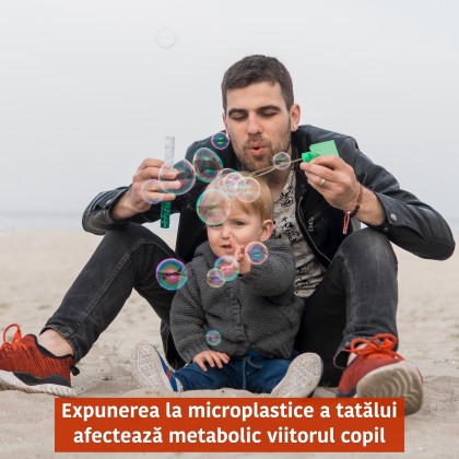 Expunerea paternă la microplastice și impactul intergenerațional asupra sănătății metabolice a descendenților