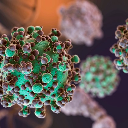 Nivelurile crescute de bacterii intratumorale slăbesc răspunsul imun și induc rezistență la imunoterapie în carcinomul scuamos de cap și gât