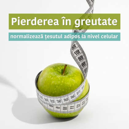 Pierderea în greutate normalizează țesutul adipos la nivel celular