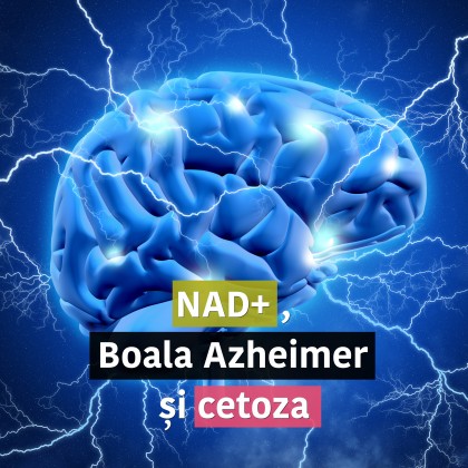 NAD⁺, boala Alzheimer și cetoza