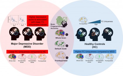 Depresia majoră ar putea fi caracterizată prin unicitatea conectomului funcțional cerebral