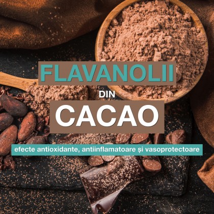 Flavanolii din cacao au efecte antioxidante, antiinflamatoare și vasoprotectoare.