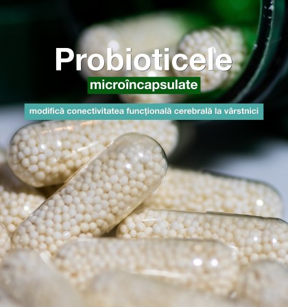 Probioticele microîncapsulate influențează diferit conectivitatea cerebrală la vârstnici