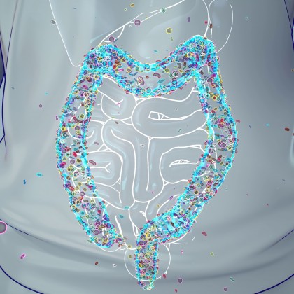 Medicamentele pentru slăbit GLP-1 (Glucagon-like peptide-1) și microbiomul intestinal