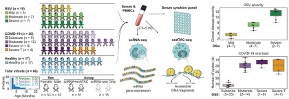 Răspunsuri imune distincte la RSV și SARS-CoV-2 la sugari: analiză multiomică comparativă