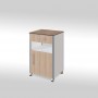 Noptieră Spital BEDSIDE-02 din Lemn | Compartimentare Dublă | Design Premium