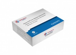 Kit Determinare Mutatii EGFR in tumori-10 teste