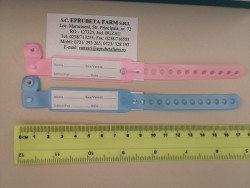 BRATARI IDENTIFICARE NOU NASCUTI FETE ROZ / BRATARA ROZ