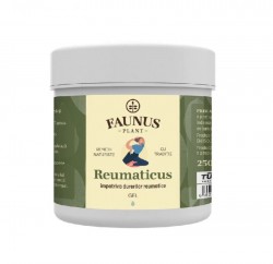 Gel Reumaticus 250 ml