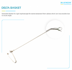 Delta Basket