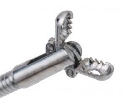 Pensă biopsie de unică folosință  (Cupe Aligator) pentru biopsii profunde