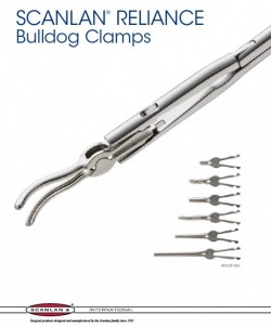 RELIANCE - Clema Scanlan® Reliance Bulldog