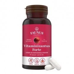 Vitaminizantus Forte 90 capsule