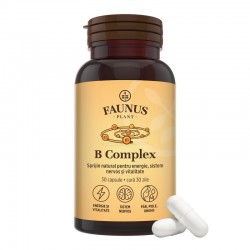 Vitamina B Complex