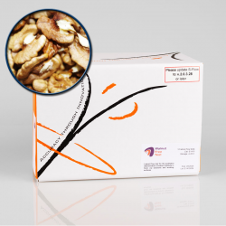 Test Rapid Reziduuri Proteine Nucă | Detectare Alergeni | Validare Igienă