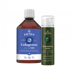 Pachet Mobilitate și Recuperare