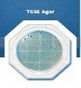 Food Stamp TGSE Agar - Staphylococcus aureus