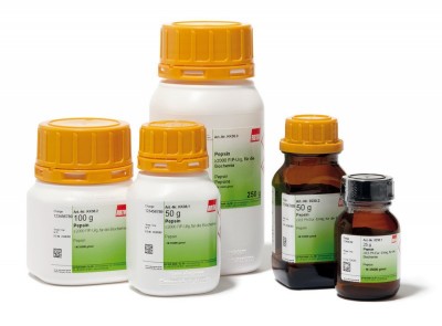 PEPSINA  ≥2000 FIP-U / g, pentru biochimie  - 1000 GRAME - IMPORT ROTH