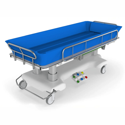 Targa Electrica Baie LUNA | Brancarda Dus | Sarcina 250 kg