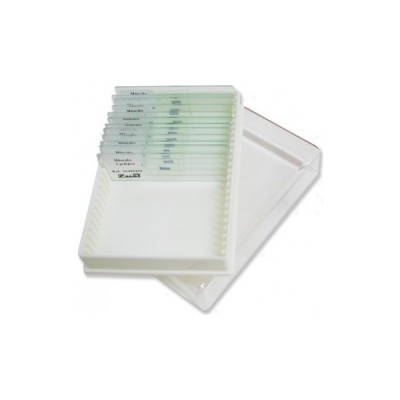 CUTII / CUTIE PENTRU PASTRAREA LAMELOR DE MICROSCOP CU 25 DE LOCURI