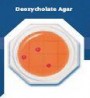 Food Stamp Deoxycholate Agar - bacterii coliforme