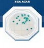 Food Stamp X-SA Agar - Staphylococcus aureus