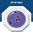 Food Stamp MLCB Agar - Salmonella