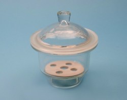 Exicator cu placa ceramica 100 mm 1 litru