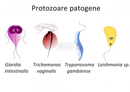 Leishmanioza