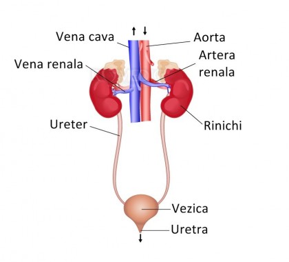 Stenoza de arteră renală