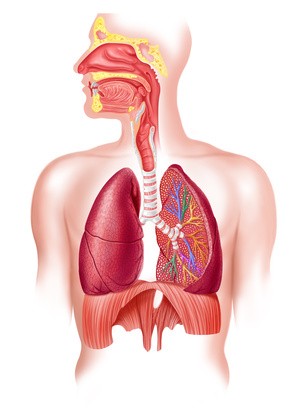 Sindromul mediastinal