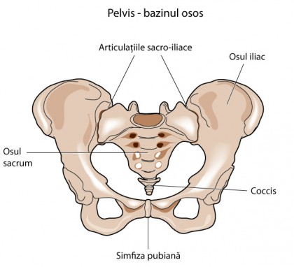 Fracturile de bazin