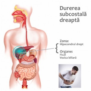 Durerea de sold: cauze, afectiuni, simptome si tratament