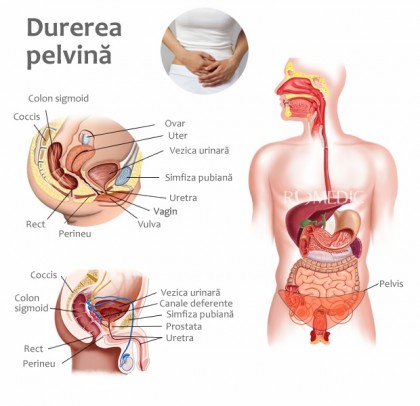 eritrocite în prostatita cronică