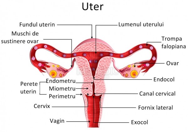 Ruptura uterină