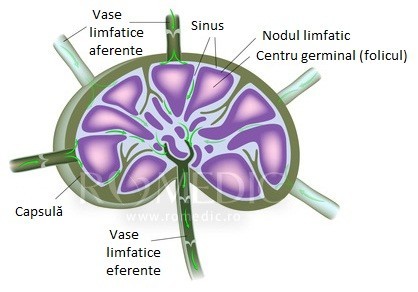 Limfadenita cu micobacterii netuberculoase