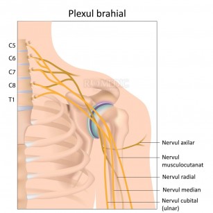 SINDROMUL DE APERTURĂ TORACICĂ (SAT), PROCEDURI DE DIAGNOSTIC ŞI TRATAMENT FIZIC