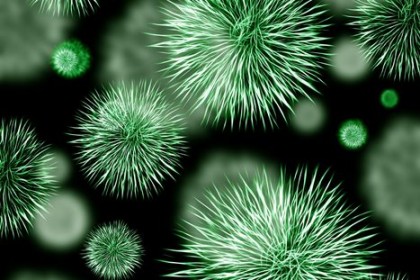 Cele mai periculoase bacterii rezistente la antibiotice, conform OMS