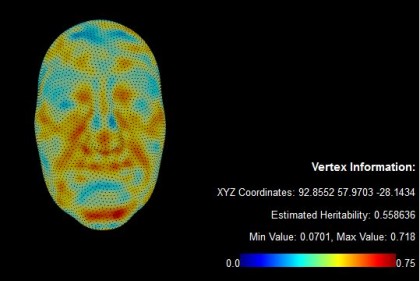 Trăsăturile faciale cele mai influențate genetic (studiu pe gemeni)