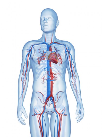 Vitamina D3 ar putea anula leziunile cardiovasculare